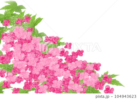 京鹿子(キョウガノコ)の花のカード1 京鹿子(キョウガノコ)の花のカード1 104943623