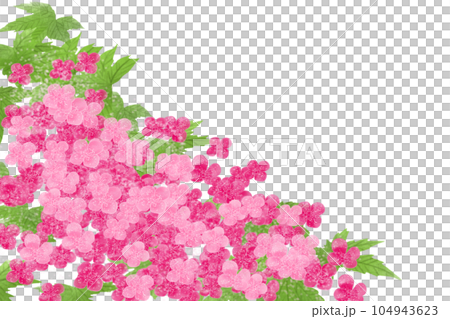 京鹿子(キョウガノコ)の花のカード1 京鹿子(キョウガノコ)の花のカード1 104943623