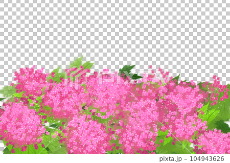 Kyoto deer flower card 2 Kyoto deer flower card 2 104943626