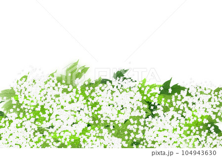 白い京鹿の子（夏雪草）の花のカード 104943630