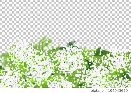 白い京鹿の子（夏雪草）の花のカード 104943630