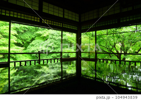 瑠璃光院（京都） 104943839