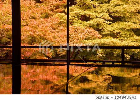 瑠璃光院(京都) 瑠璃光院(京都) 104943843