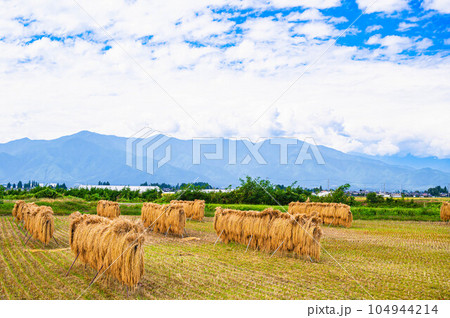 秋の稲藁干しがある風景 秋の稲藁干しがある風景 104944214