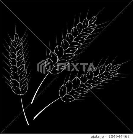 Vector drawing of a wheat spike. 104944462
