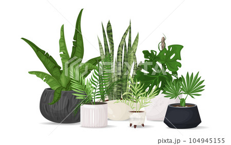 Composition of trendy tropical flowers Composition of trendy tropical flowers 104945155