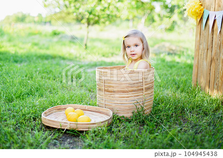 Little child girl with lemons at lemonade stand in park. Portrait of funny baby in basket with fruits. vitamins and healthy food. Useful citrus fruits as prevention of viral and respiratory diseases. Little child girl with lemons at lemonade stand in park. Portrait of funny baby in basket with fruits. vitamins and healthy food. Useful citrus fruits as prevention of viral and respiratory diseases. 104945438
