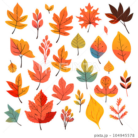 Vivid autumn leaves, isolated collection on white 104945578