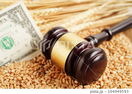 Wheat grains with US dollar banknotes, trade export and economy concept. Wheat grains with US dollar banknotes, trade export and economy concept. 104949593