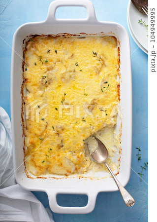 Cheese and potato gratin 104949995
