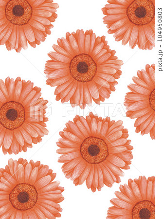 Hand drawn watercolor orange calendula flowers poster isolated on white background. Can be used for label, invitation, poster and post card. 104950803