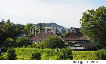 中世日本の最高学府 足利学校遠景 中世日本の最高学府 足利学校遠景 104950866