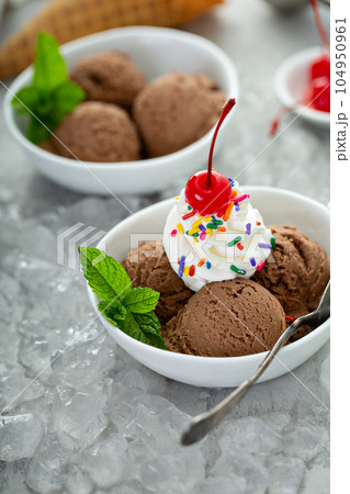 Chocolate ice cream sundae in a bowl 104950961