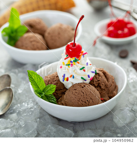 Chocolate ice cream sundae in a bowl 104950962
