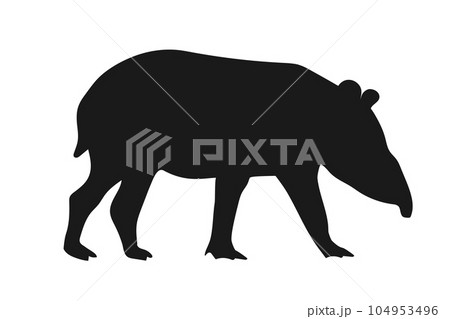Tapir silhouette isolated on white background. Vector illustration Tapir silhouette isolated on white background. Vector illustration 104953496