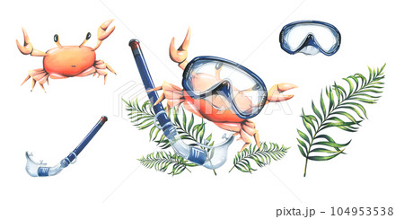 Crab in an underwater mask with a snorkel with palm leaves. Summer, beach, marine watercolor illustration, hand drawn. Set isolated composition with elements on a white background 104953538