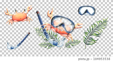 Crab in an underwater mask with a snorkel with palm leaves. Summer, beach, marine watercolor illustration, hand drawn. Set isolated composition with elements on a white background 104953538
