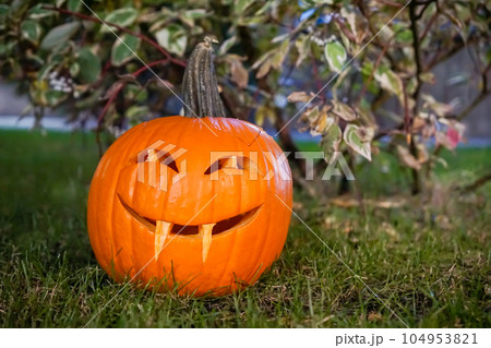 Portrait of a girl in a witch costume with a terribly painted face and a pumpkin in her hands Portrait of a girl in a witch costume with a terribly painted face and a pumpkin in her hands 104953821