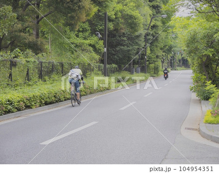 新緑に包まれた道路。新宿 104954351