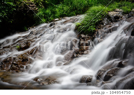 新緑の森を流れる清流 104954750