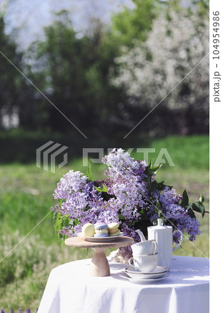 garden and tea party garden and tea party 104954986