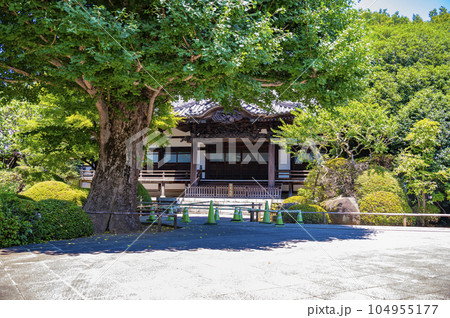 宿鳳山高円寺 104955177