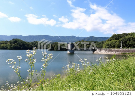 【香川県】晴天の満濃池(日本一の ため池) 【香川県】晴天の満濃池(日本一の ため池) 104955222