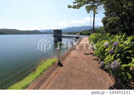 【香川県】晴天の満濃池（日本一の ため池） 104955231