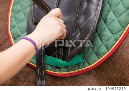 How to use horse saddle, harness and strap accessories. Mid-adult Hispanic woman closeup in paddock How to use horse saddle, harness and strap accessories. Mid-adult Hispanic woman closeup in paddock 104955239