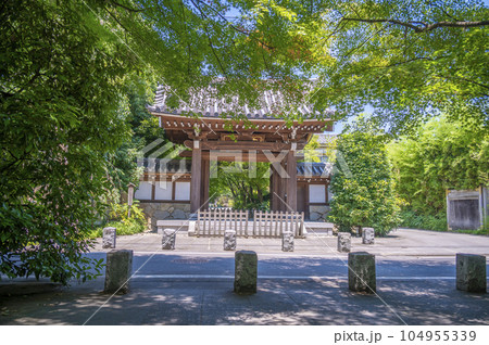宿鳳山高円寺山門 宿鳳山高円寺山門 104955339
