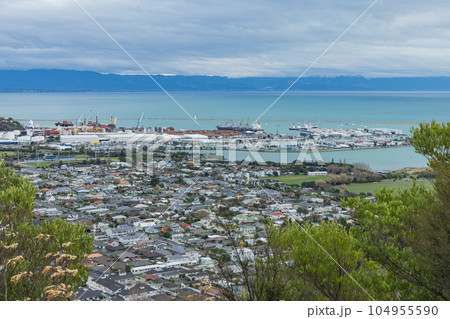 ニュージーランド　ネルソンのセンター・オブ・ニュージーランドの頂上から見える街並みとタスマン湾 104955590
