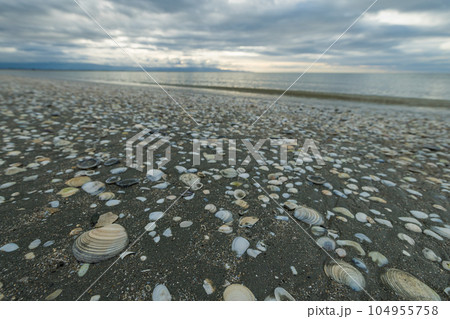 ニュージーランド　ネルソンのタフナヌイ・ビーチ 104955758