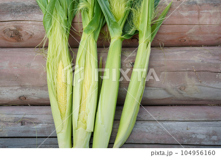 収穫したてのヤングコーン　 104956160
