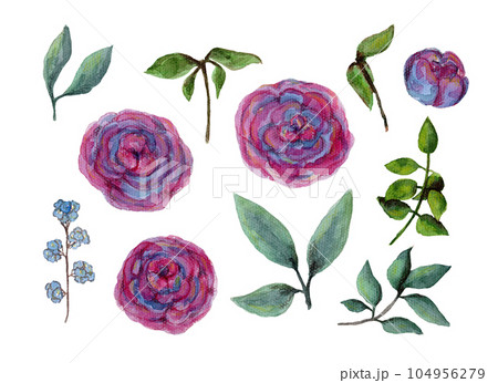 Set of simple watercolor pink and violet peony flowers and green leaves. Cute watercolour roses for invitation, botanical pattern, wedding or greeting cards design, sticker, banner decor Set of simple watercolor pink and violet peony flowers and green leaves. Cute watercolour roses for invitation, botanical pattern, wedding or greeting cards design, sticker, banner decor 104956279