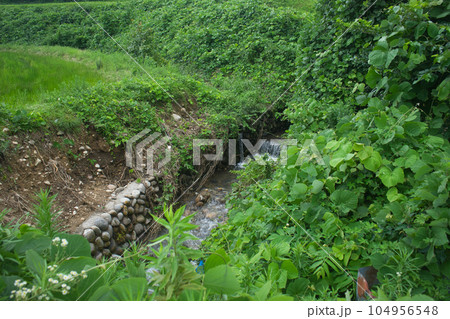 大雨に見舞われた白岩川のその後　白岩橋周辺 104956548