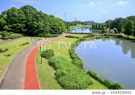 大府市、あいち健康の森公園 104956942
