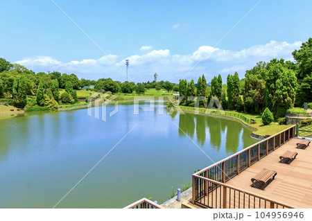 大府市、あいち健康の森公園 104956946
