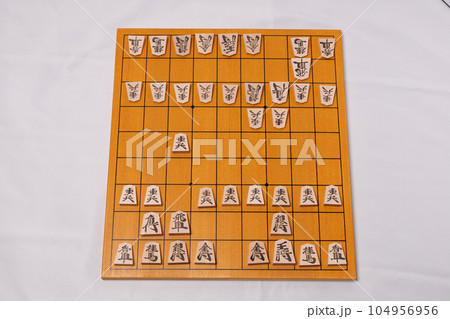 将棋の定跡相振り飛車 将棋の定跡相振り飛車 104956956