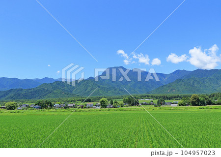 安曇野の夏　田園と北アルプス 104957023
