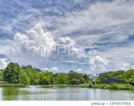 【HDR】青空と新緑が広がる夏の風景 【HDR】青空と新緑が広がる夏の風景 104957068