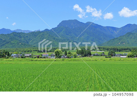 安曇野の夏　田園と北アルプス 104957098