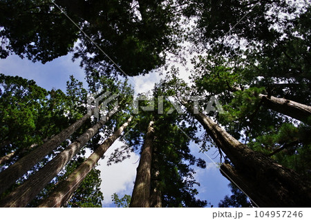 世界遺産高野山奥之院の情景 世界遺産高野山奥之院の情景 104957246