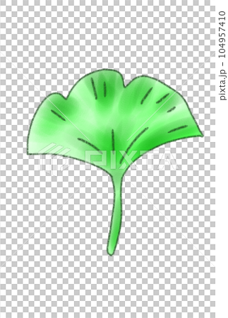 simple maple illustration simple maple illustration 104957410