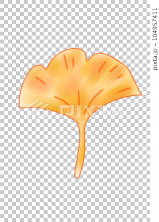 simple maple illustration simple maple illustration 104957411