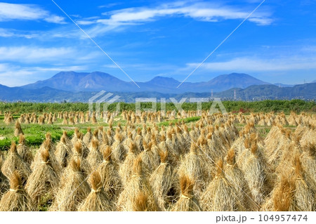 延徳田んぼの田園風景と北信五岳 104957474