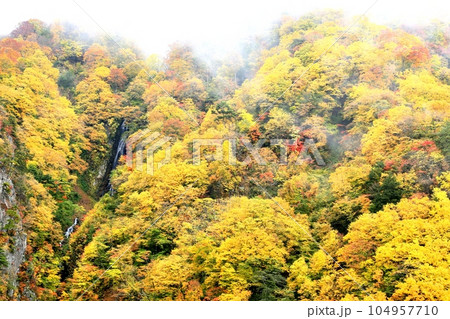 松川渓谷の紅葉と八滝 松川渓谷の紅葉と八滝 104957710