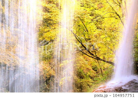 雷滝と紅葉 104957751