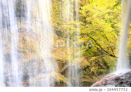 雷滝と紅葉 雷滝と紅葉 104957752