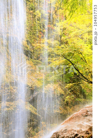 雷滝と紅葉 雷滝と紅葉 104957753