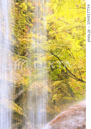 雷滝と紅葉 雷滝と紅葉 104957754